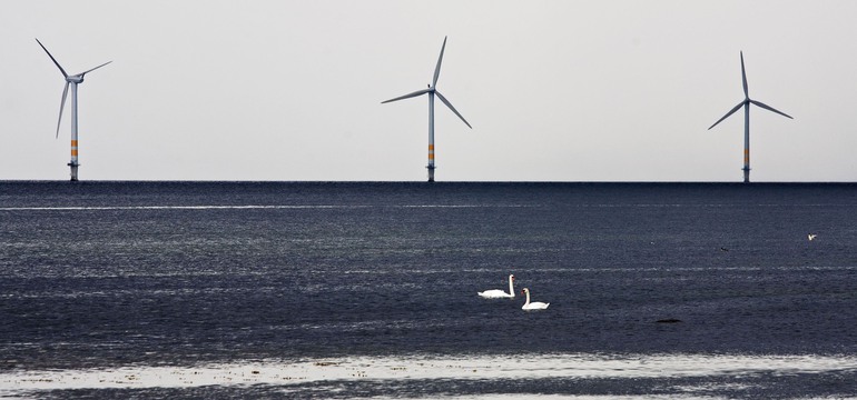 tre stycken vindkraftverk i horisonten i havet